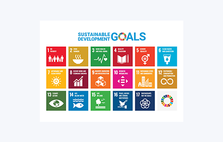 The Sustainable Development Goals